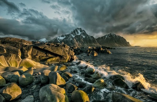 Le domaine martin : passion et tradition des côtes du rhône