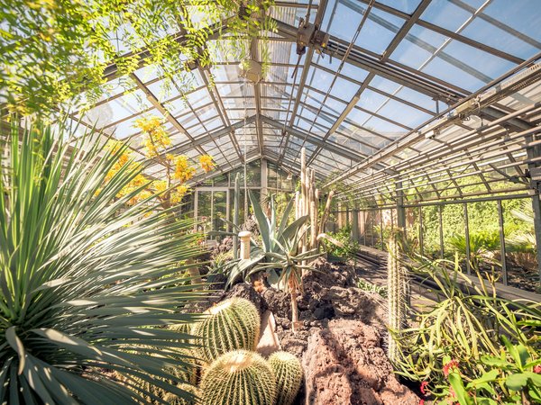 Comment organiser une visite des jardins suspendus de Marqueyssac en France?